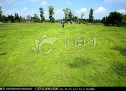 青青青草国产,探寻青青青草国的绿色奇迹