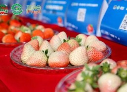 草莓国产在线,品味本土鲜甜，共筑绿色食尚
