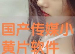 国产毛片直播,暗流涌动的网络直播生态