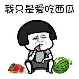 娱乐圈吃瓜动画片有哪些,揭秘那些让人捧腹大笑的吃瓜动画片
